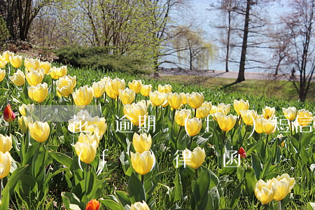 花唄逾期發(fā)短信律師函(花唄催款發(fā)律師函)
