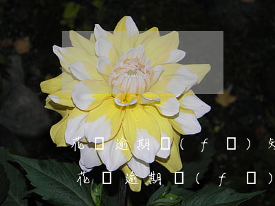 花唄逾期發(fā)短信花唄號碼是多少-花唄逾期發(fā)短信花唄號碼是多少啊