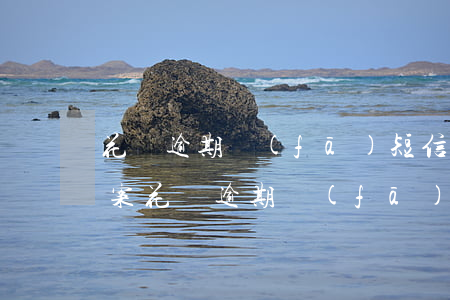 花唄逾期發(fā)短信說(shuō)立案(花唄逾期發(fā)短信說(shuō)立案)