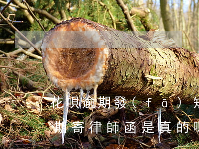 花唄逾期發(fā)短信說(shuō)近期寄律師函是真的嗎-花唄逾期發(fā)短信說(shuō)近期寄律師函是真的嗎嗎