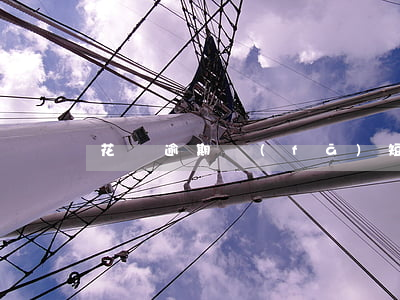 花唄逾期發(fā)短信說要立案