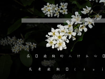 花唄逾期的人什么心態(tài)(花唄不還或者逾期會(huì)怎么樣)