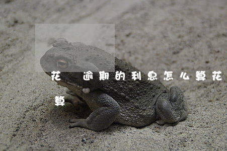花唄逾期的利息怎么算(花唄逾期的利息怎么算)