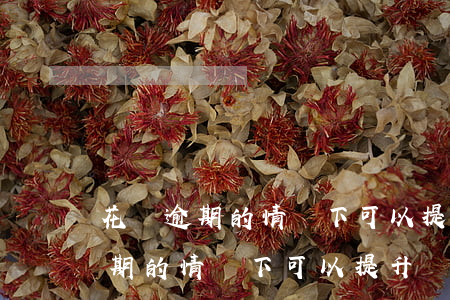 花唄逾期的情況下可以提升額度嗎-花唄逾期的情況下可以提升額度嗎安全嗎