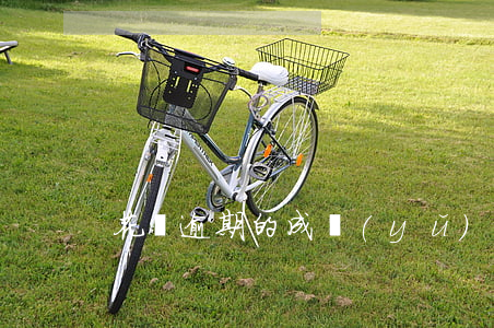 花唄逾期的成語(yǔ)(逾期花唄什么意思)