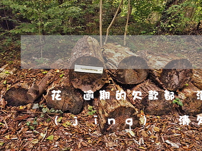 花唄逾期的欠款都還清了(花唄逾期了,但已經(jīng)還清欠款,多久可以恢復(fù)使用?)