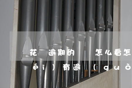 花唄逾期的記錄怎么看(怎么查花唄有沒(méi)有逾過(guò)期)
