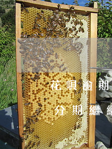 花唄逾期目前正在分期(花唄逾期已還剩下的分期繼續(xù)分期還可以嗎)