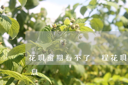 花唄逾期看不了攜程(花唄逾期看不了攜程信息)