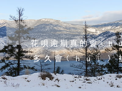 花唄逾期真的會(huì)立案嗎(花唄逾期多久會(huì)被起訴?花唄逾期怎么辦)