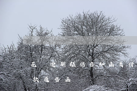 花唄逾期短信告知函(支付寶花唄逾期收到催款通告函)
