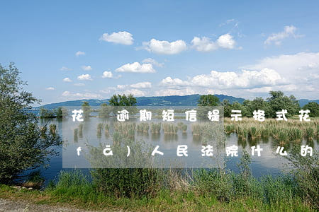 花唄逾期短信提示格式(花唄逾期多久會發(fā)人民法院什么的信息警告)