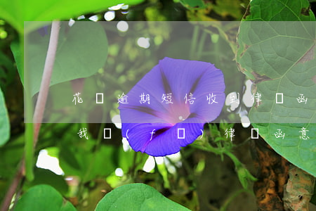 花唄逾期短信收到律師函了(花唄逾期了說給我發(fā)律師函意味著什么)