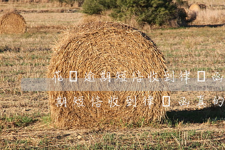 花唄逾期短信收到律師函真的假的-花唄逾期短信收到律師函真的假的怎么辦