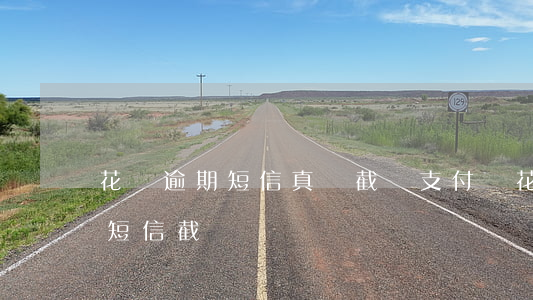 花唄逾期短信真實截圖(支付寶花唄賬單逾期短信截圖)