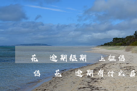 花唄逾期短期會上征信嗎(花唄逾期5天上征信嗎?花唄逾期有什么后果)