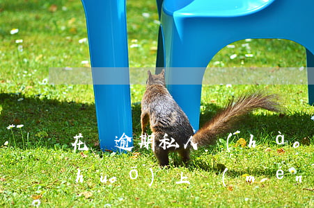 花唄逾期私人號(hào)碼打電話說(shuō)上門(mén)核實(shí)情況-花唄逾期私人號(hào)碼打電話說(shuō)上門(mén)核實(shí)情況是真的嗎