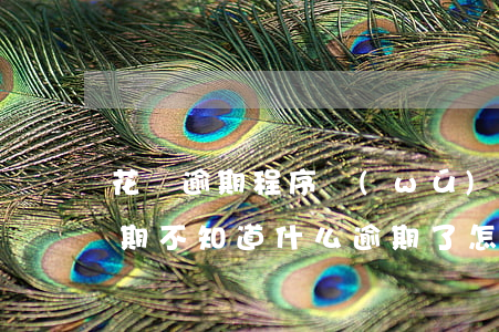 花唄逾期程序無(wú)法更改(花唄顯示逾期不知道什么逾期了怎么處理)