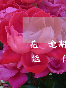 花唄逾期第2天還多少(花唄逾期倆天還了還能繼續(xù)用嗎還有額度嗎)