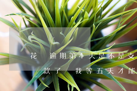 花唄逾期第4天是不是(支付寶花唄逾期4天,還款了讓我等五天才能用)