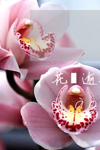 花唄逾期第三方上門核實(shí)舉報(bào)方法-花唄逾期第三方上門核實(shí)舉報(bào)方法是什么