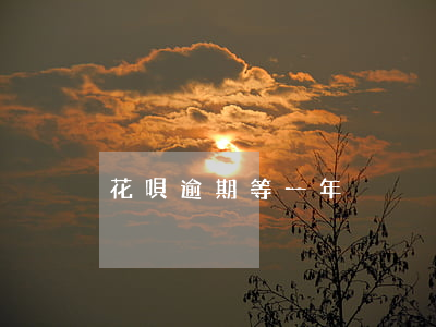 花唄逾期等一年