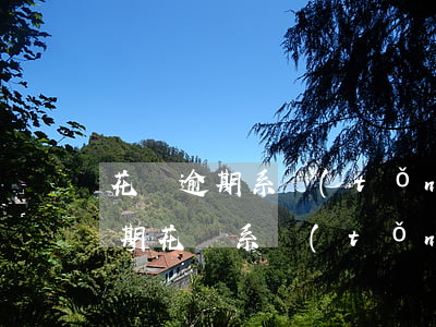 花唄逾期系統(tǒng)多久評估(沒有逾期花唄系統(tǒng)評估無法使用要多久恢復)