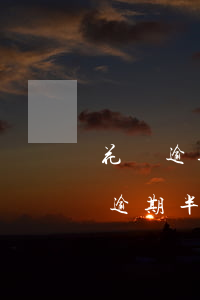 花唄逾期約好上門時(shí)間(花唄借唄逾期半年了,他們真的會上門嗎?)