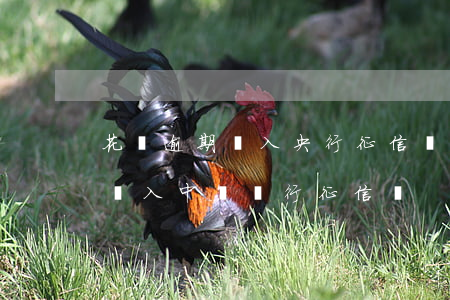 花唄逾期納入央行征信嗎(支付寶花唄逾期會納入中國銀行征信嗎?)