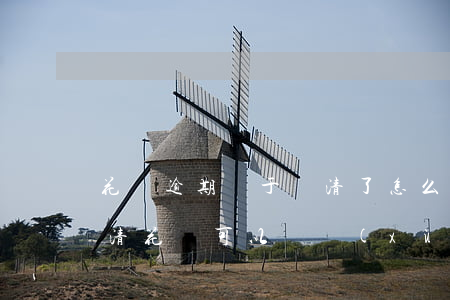 花唄逾期終于還清了怎么還-花唄逾期后,還清,花唄可以繼續(xù)使用不?
