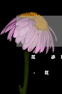 花唄逾期結(jié)清后注銷征信存在嗎-花唄逾期結(jié)清后注銷征信存在嗎有影響嗎