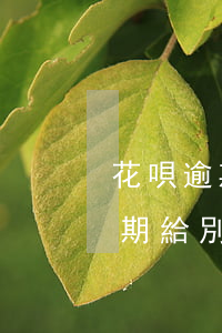 花唄逾期給別人轉賬會通知別人嗎-花唄逾期給別人轉賬會通知別人嗎安全嗎