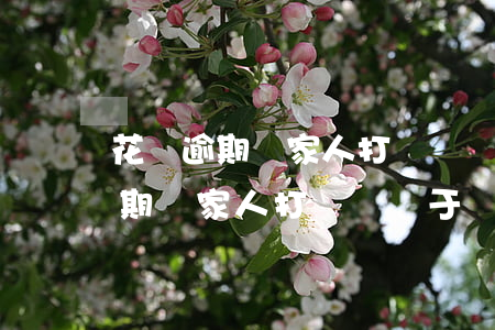 花唄逾期給家人打電話屬于違法嗎-花唄逾期給家人打電話屬于違法嗎怎么處理