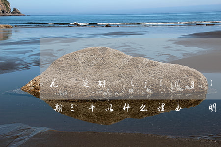花唄逾期經(jīng)濟困難證明(花唄逾期2年,以什么理由證明不是故意)