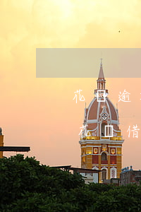 花唄逾期網(wǎng)商貸也逾期(支付寶花唄借唄網(wǎng)商貸逾期怎么先還借唄花唄?)
