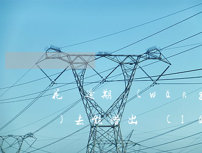 花唄逾期網(wǎng)商貸還進(jìn)去能借出來(lái)么-花唄逾期網(wǎng)商貸還進(jìn)去能借出來(lái)么?