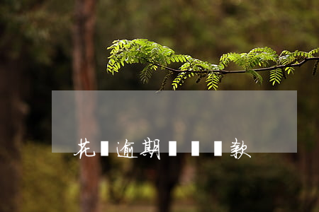 花唄逾期網貸還款