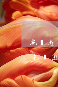 花唄逾期罰款可以協(xié)商嗎(支付寶花唄逾期協(xié)商成功)