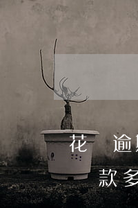 花唄逾期罰款多還是借唄罰款多-花唄逾期罰款多還是借唄罰款多