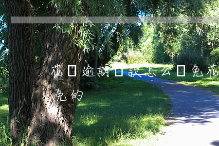 花唄逾期罰款怎么減免(花唄逾期罰款怎么減免的)