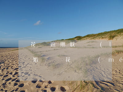 花唄逾期耽誤領(lǐng)結(jié)婚證嗎(花唄沒(méi)還可以領(lǐng)結(jié)婚證嗎)