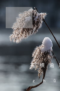 花唄逾期聯(lián)系了客服還要準(zhǔn)備什么-花唄逾期聯(lián)系了客服還要準(zhǔn)備什么資料