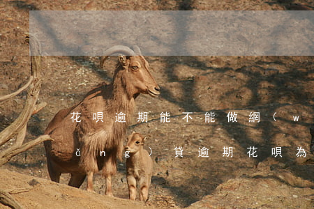 花唄逾期能不能做網(wǎng)貸(網(wǎng)貸逾期花唄為什么會(huì)關(guān)閉,還能開(kāi)通嗎?)