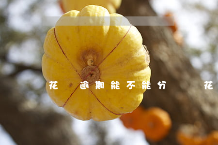 花唄逾期能不能分開還(花唄能分開還嗎)