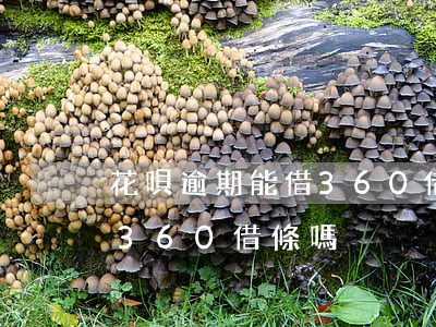 花唄逾期能借360借條嘛-可以用花唄還360借條嗎