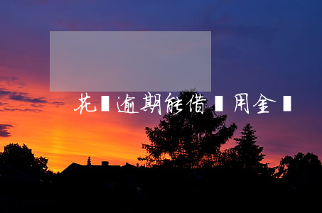 花唄逾期能借備用金嗎