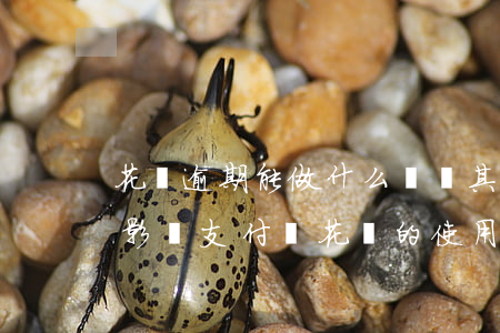 花唄逾期能做什么網貸(其它網貸逾期會不會影響支付寶花唄的使用)