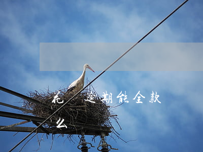 花唄逾期能全款買車嗎(可以用花唄買車全款么)
