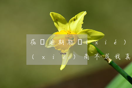 花唄逾期能協(xié)商不(花唄逾期能協(xié)商不成我真的沒(méi)辦法還清,怎么辦)