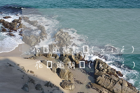 花唄逾期能協(xié)商免罰息嗎(支付寶花唄逾期協(xié)商免息)